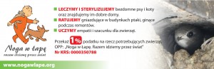 ptak 2