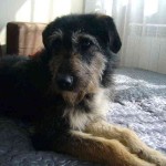 neska (2)